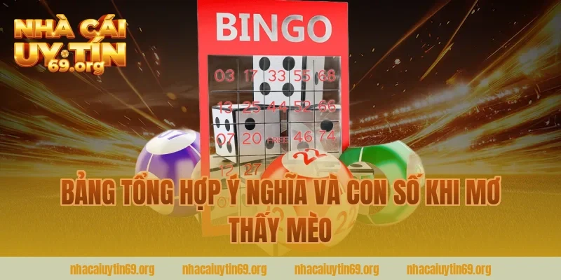 Bảng tổng hợp ý nghĩa và con số khi mơ thấy mèo