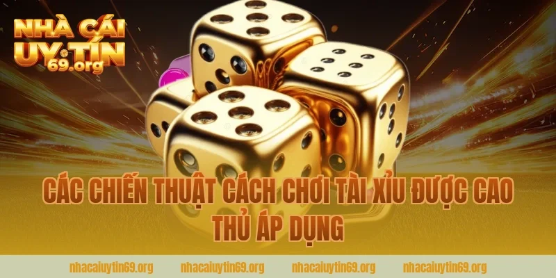 Các Chiến Thuật Cách Chơi Tài Xỉu Được Cao Thủ Áp Dụng