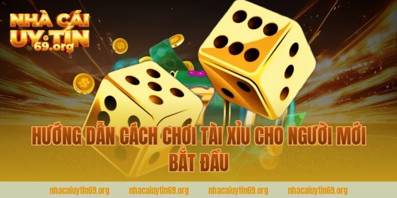 Hướng Dẫn Cách Chơi Tài Xỉu Cho Người Mới Bắt Đầu Cùng Nhà Cái Uy Tín