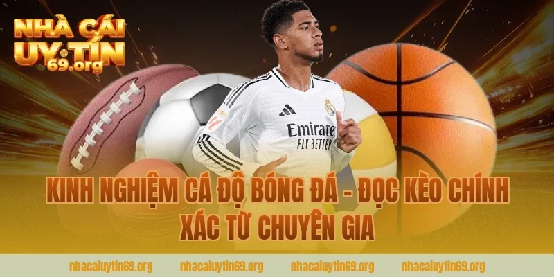 Kinh Nghiệm Cá Độ Bóng Đá – Đọc Kèo Chính Xác Từ Chuyên Gia Nhà Cái Uy Tín