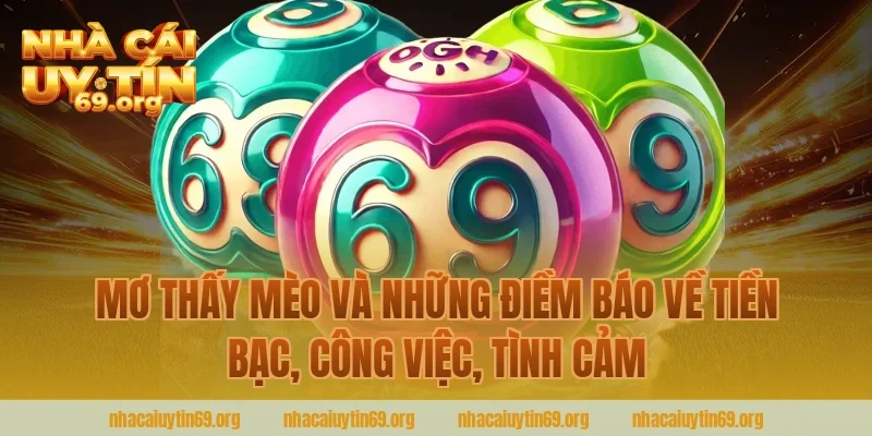 Mơ thấy mèo và những điềm báo về tiền bạc, công việc, tình cảm