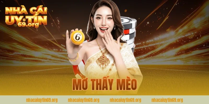 mơ thấy mèo