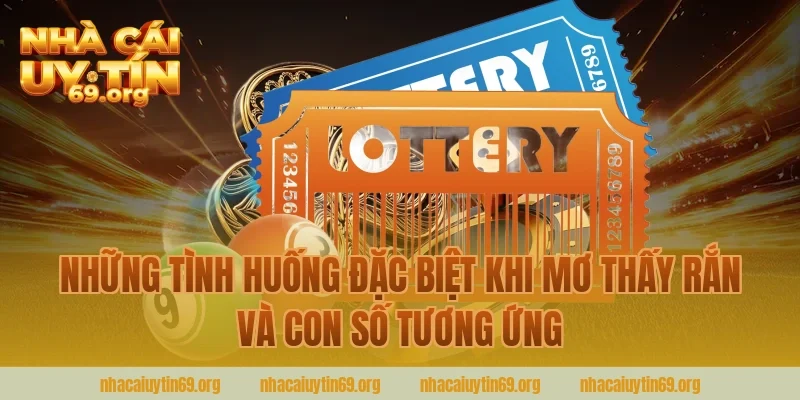 Những Tình Huống Đặc Biệt Khi Mơ Thấy Rắn Và Con Số Tương Ứng